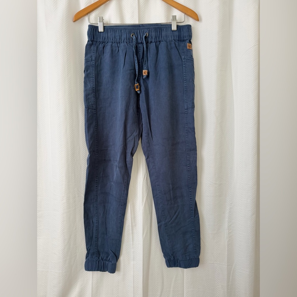 Tentree Casual Navy Pants